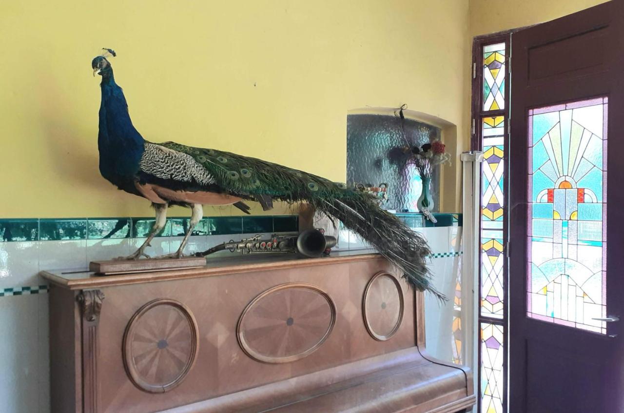 Villa Ritte Dendermonde Dış mekan fotoğraf