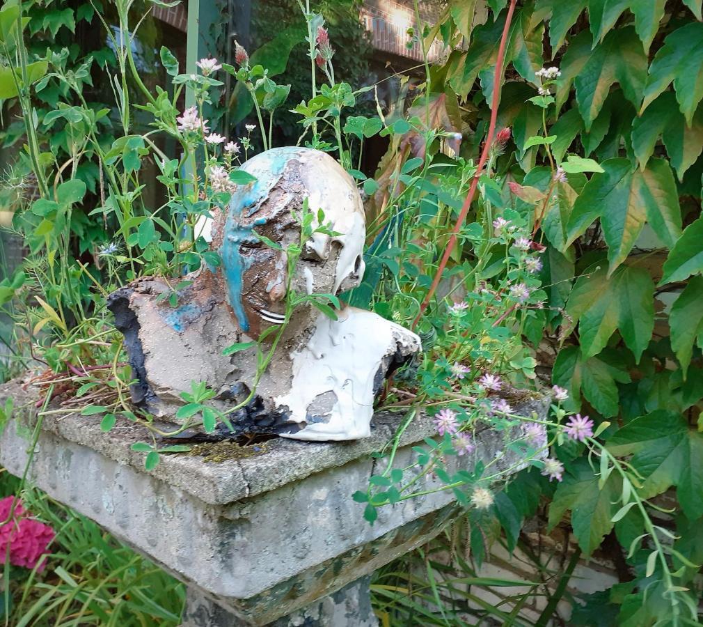 Villa Ritte Dendermonde Dış mekan fotoğraf