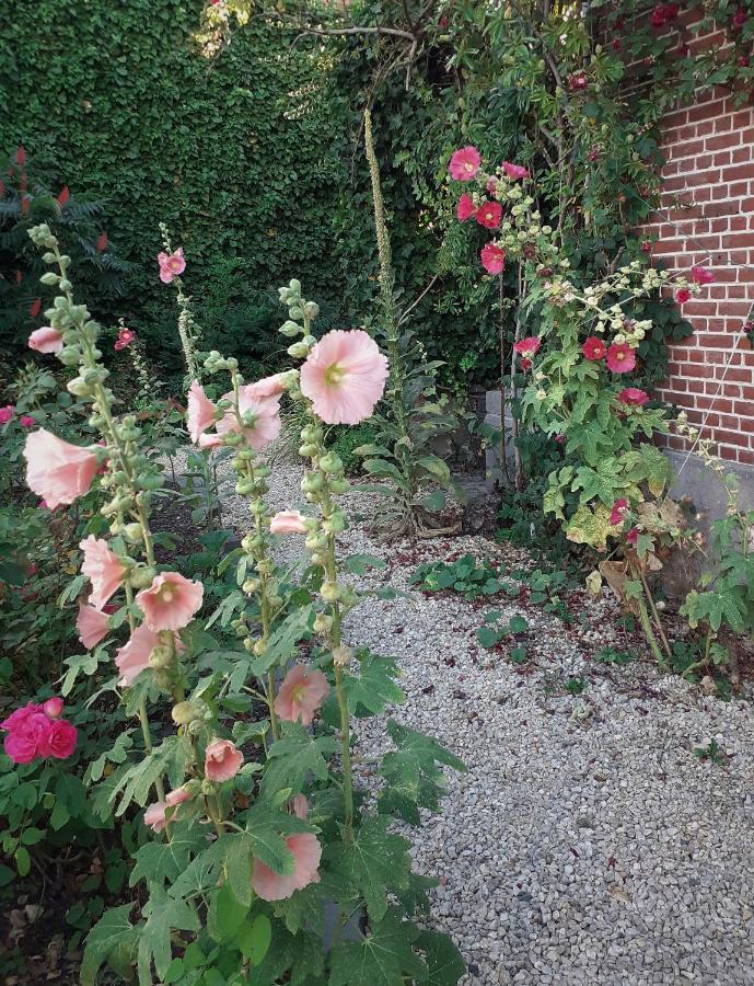 Villa Ritte Dendermonde Dış mekan fotoğraf